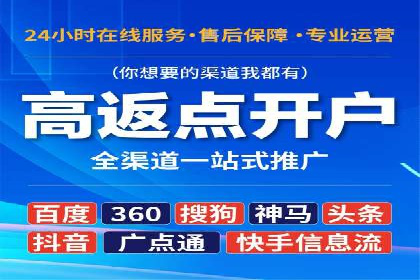 SEM运营推广策略案例分析